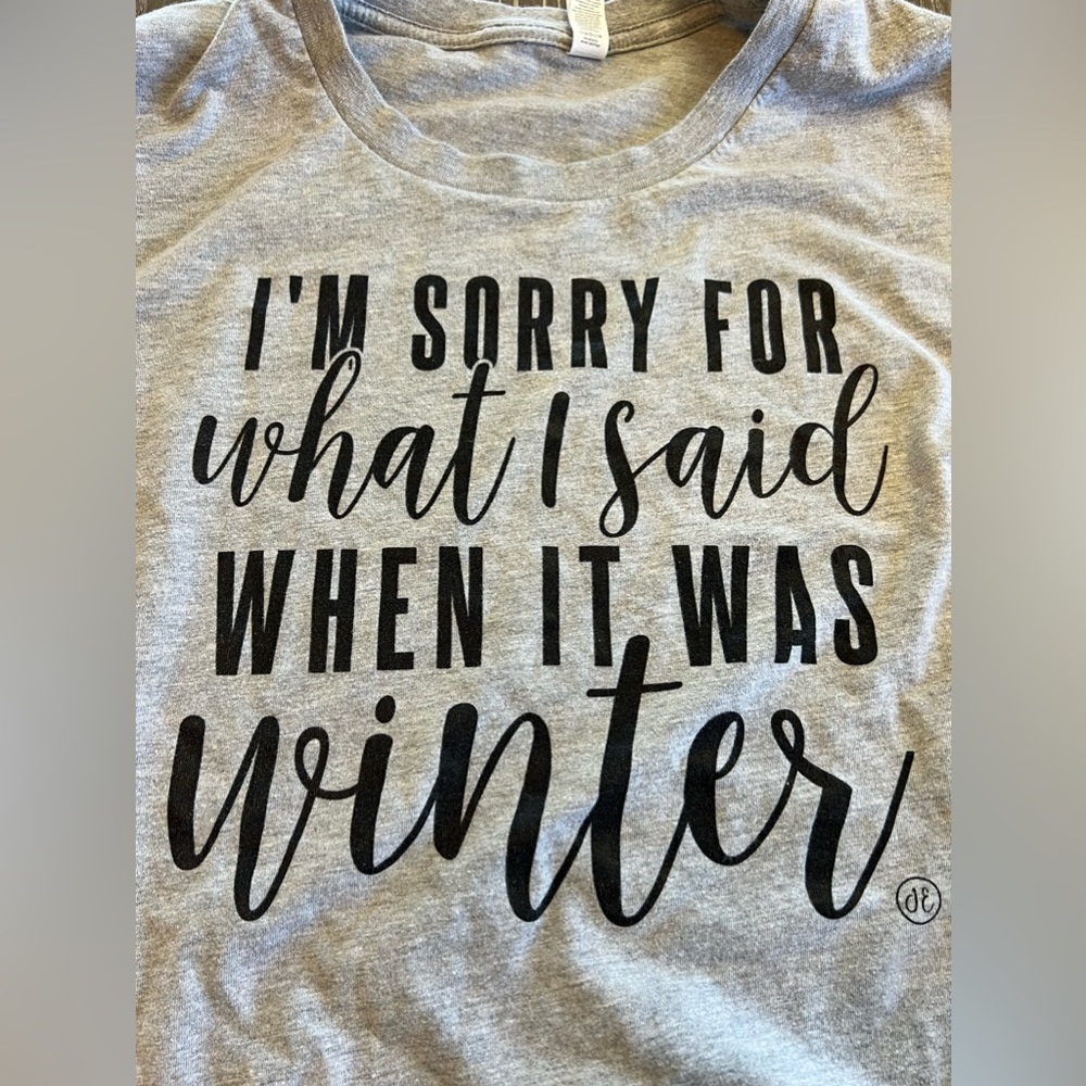 XL “Sorry for what I said when it was winter” Grey T-Shirt